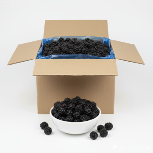 Blackberry, Whole, IQF